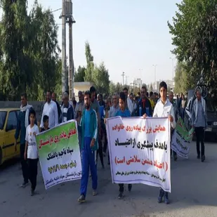 همایش پیاده روی بازنشستگان بسیجی