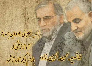بیانیه شورای تبیین مواضع بسیج دانشجویی دانشگاه&zwnj;های شاهرود در پی شهادت فخری زاده