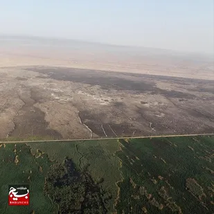 احتمال آتش&zwnj;سوزی بخش عراقی هورالعظیم با گرمای شدید/ رایزنی با عراق برای اطفای حریق&zwnj;ها