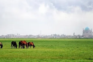 تخصیص بیش از یک میلیارد اعتبار برای تثبیت چمن گنبد سلطانیه