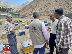 برگزاری اردوی جهادی تخصصی دامپزشکی شاهرود+ تصاویر