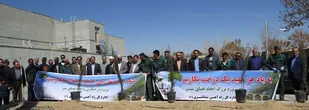 کاشت درخت به یاد شهدا در راه آهن شمالشرق (۱) شاهرود