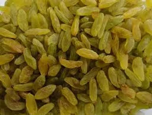 در زمینه حمایت از تولید ملی و تولید کننده موفق نبوده اند