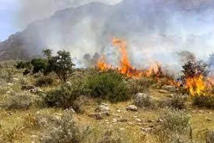 مهار آتش&zwnj;سوزی در پناهگاه حیات وحش کیامکی آذربایجان&zwnj;شرقی