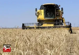 مابقی مطالبات گندمکاران خوزستانی هرچه سریع&zwnj;تر پرداخت شود