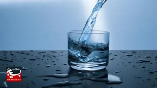 معمارِ بی&zwnj;&zwnj;سروصدای سلامت و هوش انسان را بشناسید