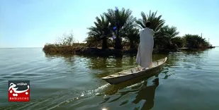 جان در رگ&zwnj;های تالاب شادگان/ رهاسازی بیش از ۲ میلیون بچه ماهی در تالاب شادگان