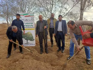 غرس ۳۹۰۰۰ اصله نهال در آشتیان