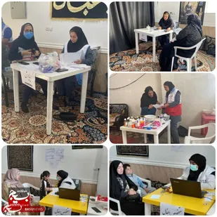اردوی جهادی شهیده زهرا عبداللهی در تنگستان برگزار شد
