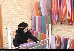 مشاور وزارت تعاون، کار و رفاه اجتماعی:
مجوز کسب و کارهای خانگی در کمترین زمان صادر می&zwnj;شود