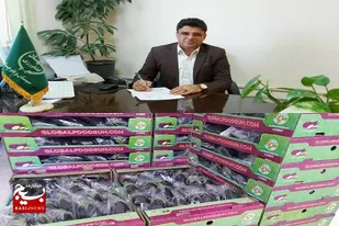 بیش از ۱۰۰ تن محصولات گلخانه ای خاش به خارج از کشور صادرشد