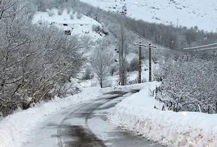 ثبت بارش ۴۷ میلی متری در مینودشت/ گلستان سفیدپوش شد