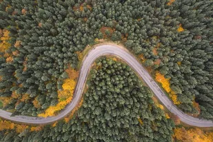 پایش ۱۵ هزار هکتار از جنگل&zwnj;های زاگرسی خوزستان برای مقابله با آفات