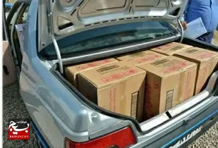 مجازات قاچاقچی سیگار در قزوین