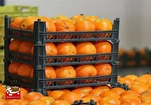 &nbsp;

میوه شب عید در کدام نقاط شهر قزوین توزیع می&zwnj;شود؟