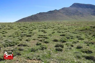 ۲.۴ میلیون هکتار از اراضی خوزستان را مراتع تشکیل می&zwnj;دهد