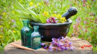 ۳۰ تن گیاهان دارویی در نیر تولید می&zwnj;شود
