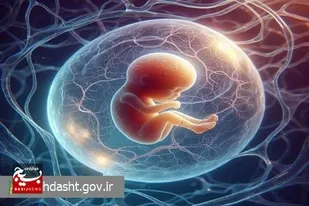 نجات 402 جنین از سقط توسط مرکز نفس زاهدان