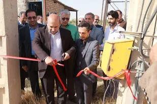 فعالیت ۸ مرکز تحقیقات پسته در کشور&nbsp;