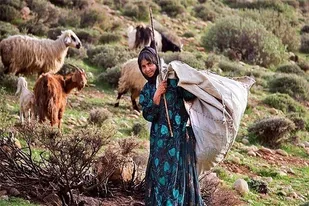 بازدید میدانی مجمع جهادگران جهاد تبیین بسیج رسانه استان فارس از وضعیت عشایر استان