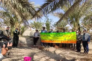 رزمایش مقتدرانه جهادی بسیج در شهرستان خنج برگزار شد