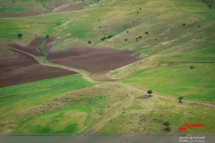 طبیعت زیبای بهاری شهر هشجین + عکس