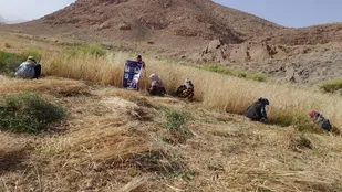 پایگاه ام البینن حوزه الزهرا (سلام الله علیها) سپاه زرند درروستای ده میلادن زرند برگزارگردید