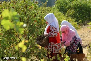 چهار اثر ناملموس قزوین در راه ثبت ملی