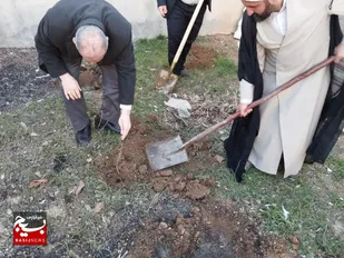 کاشت نهال به نیابت از شهدا در فارسان