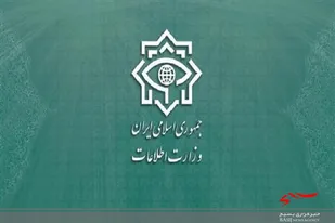 وزارت اطلاعات یک تبعه سوئدی را به اتهام جاسوسی بازداشت کرد