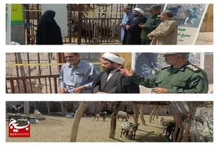 افتتاح پروژه اشتغالزایی دامداری در شهرستان دلگان