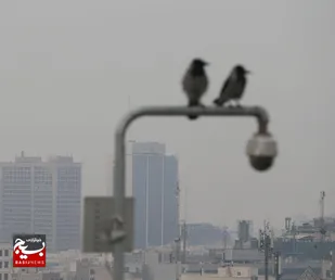 وضعیت قرمز آلودگی هوا در اهواز، ۵ شهر دیگر در وضعیت نارنجی | ۴ مرداد ۱۴۰۵