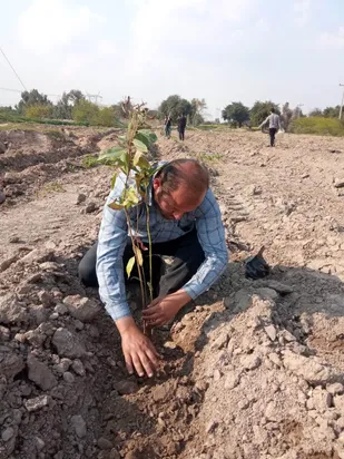 کاشت بیش از ۲۰۰۰نهال به مناسبت هفته منابع طبیعی درشوشتر