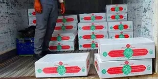 توزیع 1500 بسته گوشت بین نیازمندان هرمزگانی