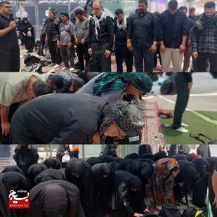 زائرِ حسین (ع)  نمازگزارِ حق