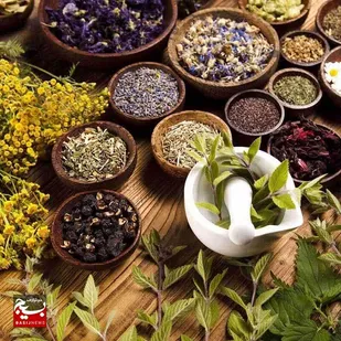 قزوین قطب نوظهور گیاهان دارویی با تولید سالانه بیش از ۱۴۰۰ تن از این گیاهان