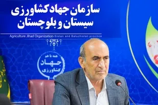 رکورد جوجه ریزی در واحدهای مرغداری سیستان وبلوچستان از ۲۳ میلیون قطعه فراتر رفت