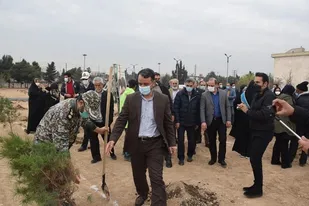 کاشت 1300 نهال در منطقه 20/  ایجاد 50  هکتار جنگل کاری در اطراف شهرری