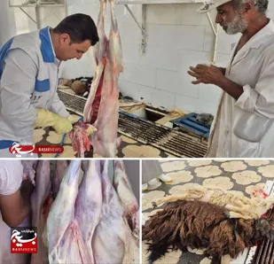 ذبح ۱۱ راس گوسفند عید قربان در هندیجان