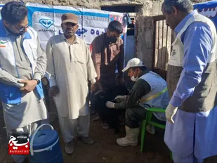 واکسینه شدن۲۵۰ راس دام بمناسبت دهه مبارک فجر