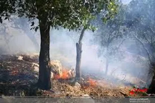 ۵۰ هکتار از مراتع طبیعی و جنگلی روستای انبارته دچار حریق شد