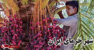 شهر خرمای ایران