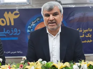 واکنش مدیرکل دامپزشکی به جولان سگ&zwnj;های ولگرد در شهر یاسوج