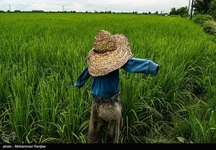 هشدار وقوع سیلاب و وزش باد ۸۰ کیلومتری در گیلان و گلستان