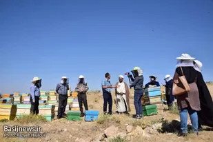 بازدید اصحاب رسانه همدان از زنبورستان ارگانیک کشور