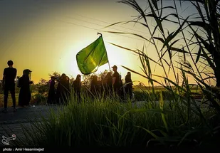پیاده روی اربعین حسینی - مسیر نجف به کربلا