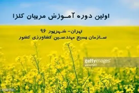 طرح حمایت از خودکفایی دانه های روغنی آغاز به کار کرد