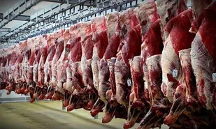 آغاز خرید حمایتی و مباشرتی گوشت قرمز در شاهرود
