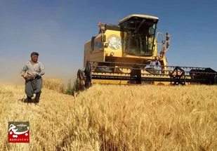 گندمکاران اردبیلی صددرصد مطالبات خود را دریافت کردند