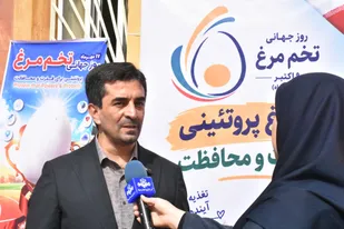 سرانه مصرف تخم&zwnj;مرغ در جهان ۳۰۰ عدد و در ایران ۲۲۰ عدد؛ ضرورت افزایش مصرف در کشور